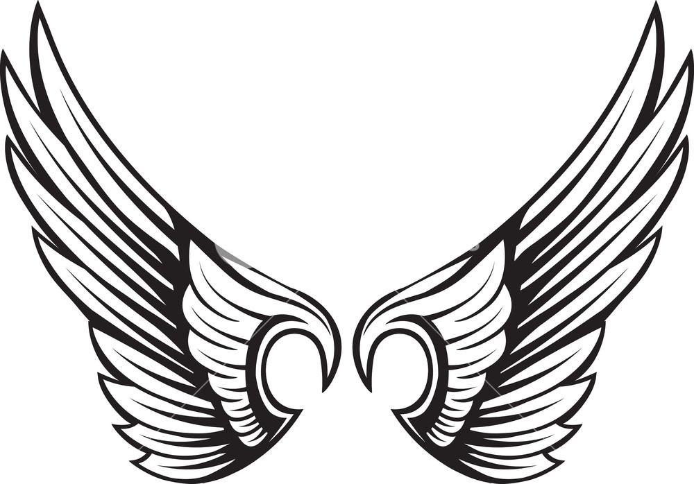 Wings Vector Element Royalty Free Stock Image 1000x698 Wings Vector Element Royalty Free Stock Image