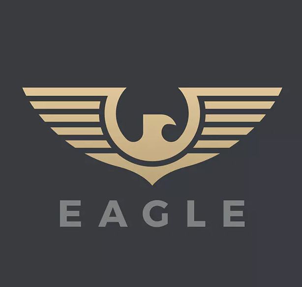Logo Eagle Falcon Wings Heraldic Style Design Template 614x583 Logo Eagle Falcon Wings Heraldic Style Design Template