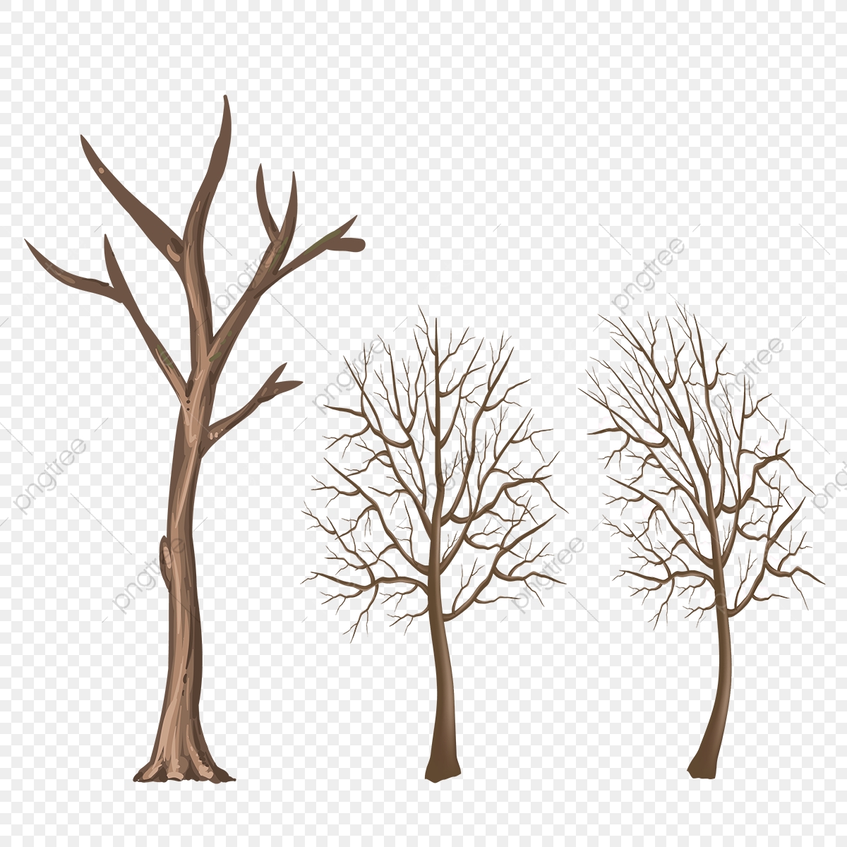 Силуэты деревьев зимой