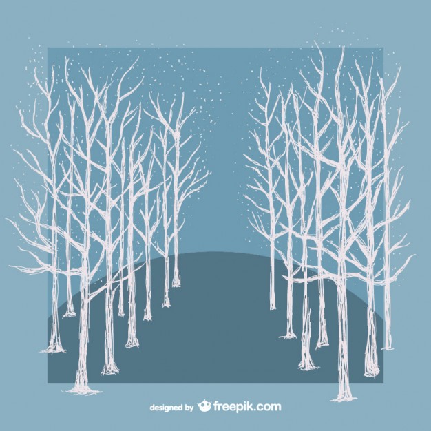 White Winter Trees Vector Vector Free Download 626x626 White Winter Trees Vector Vector Free Download