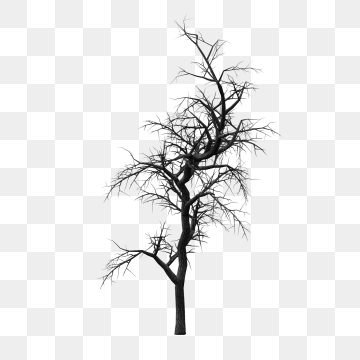 Winter Tree Silhouette Vector at Vectorified.com | Collection of Winter ...