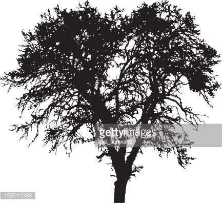 Winter Tree Silhouette, Vector Premium Clipart 433x396 Winter Tree Silhouette, Vector Premium Clipart