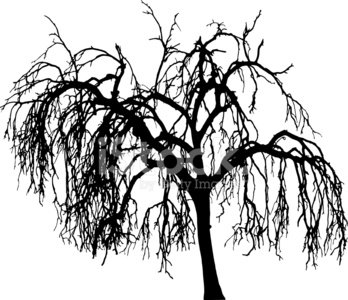 Winter Tree Silhouette, Vector Stock Vectors 348x300 Winter Tree Silhouette, Vector Stock Vectors