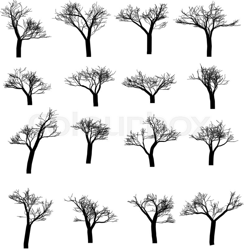 Winter Tree Set Dry Tree With Fallen Stock Vector Colourbox 785x800 Winter Tree Set Dry Tree With Fallen Stock Vector Colourbox
