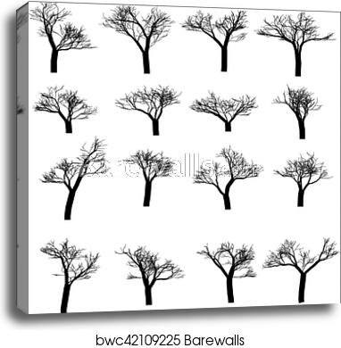 Winter Tree Set Dry With Fallen Leaves Dead Silhouette Vector 382x390 Winter Tree Set Dry With Fallen Leaves Dead Silhouette Vector
