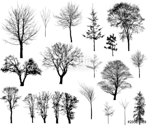 Download Winter Tree Silhouette Vector at Vectorified.com ...