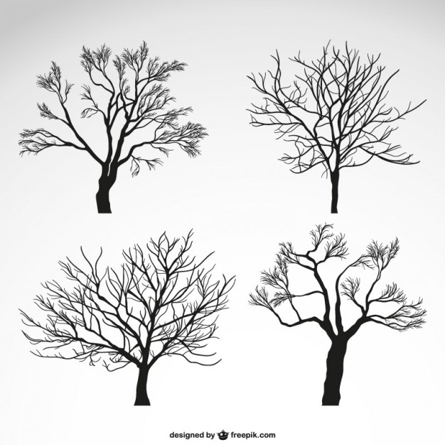 Winter Trees Silhouettes Vector Free Download 626x626 Winter Trees Silhouettes Vector Free Download
