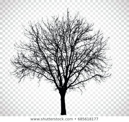 Winter Tree Drawing 450x425 Winter Tree Drawing