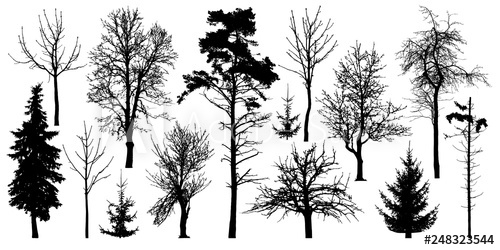 Forest Trees Without Leaves Winter Trees Set, Silhouette Vector 500x250 Forest Trees Without Leaves Winter Trees Set, Silhouette Vector
