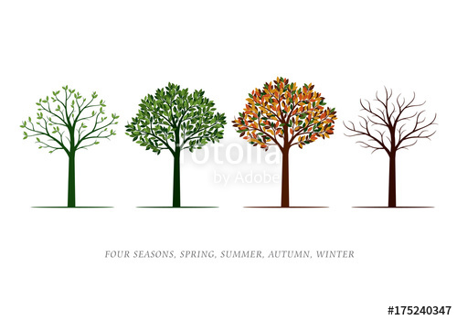 Spring, Summer, Autumn, Winter Trees Vector Illustration Stock 500x350 Spring, Summer, Autumn, Winter Trees Vector Illustration Stock