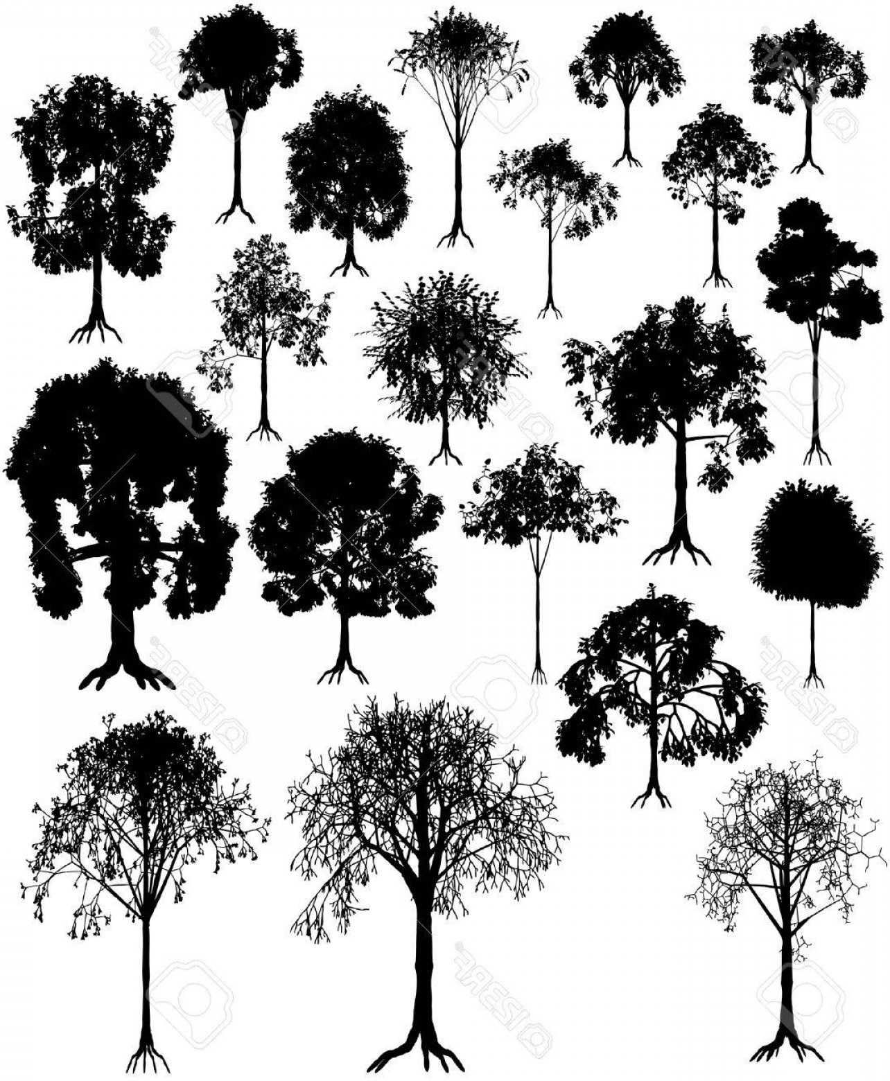 Summer Winter Tree Vector Hoodamathrun 1284x1560 Summer Winter Tree Vector Hoodamathrun