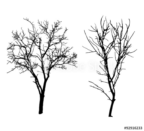 Two Winter Tree Black Silhouettes 500x455 Two Winter Tree Black Silhouettes