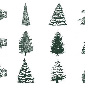 Winter Tree Vector And Candle Vector Pack Studiogrfx 300x300 Winter Tree Vector And Candle Vector Pack Studiogrfx
