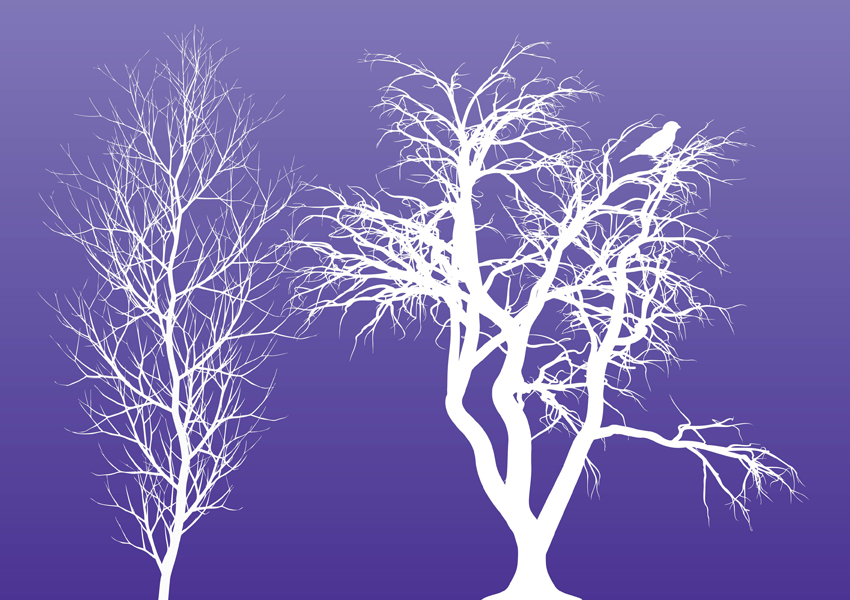 Winter Trees Free Vectors Ui Download 850x600 Winter Trees Free Vectors Ui Download