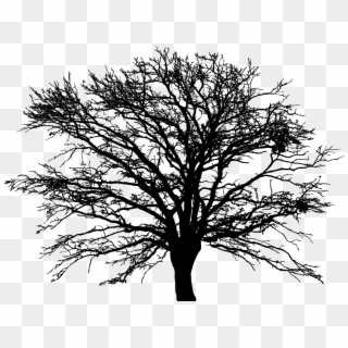 Big Image 320x320 Big Image