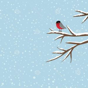 300x300 Stock Image Bird Sitting Branch Winter Vector Image Handandbeak