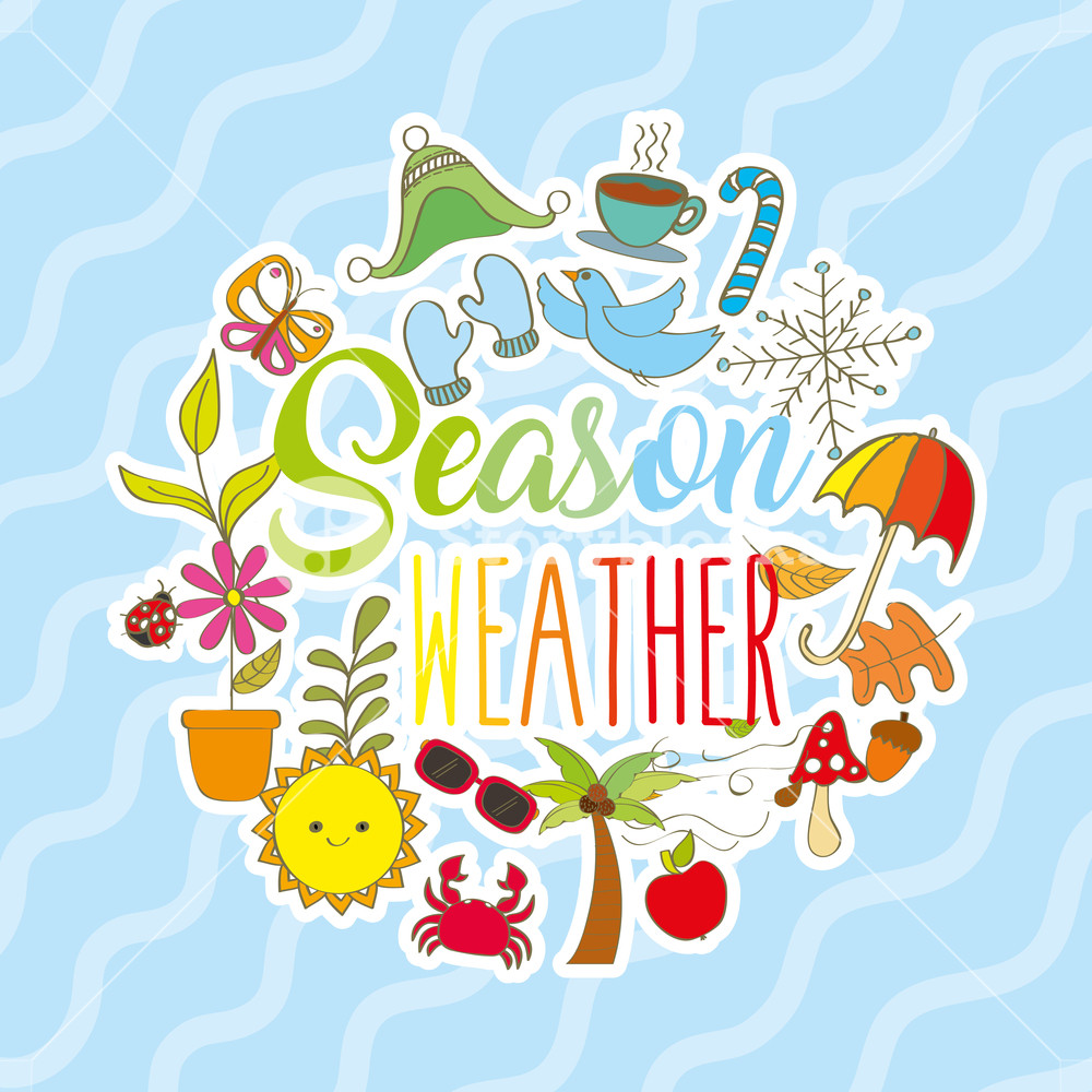 1000x1000 Season Weather Card Summer Autumn Spring Winter Vector