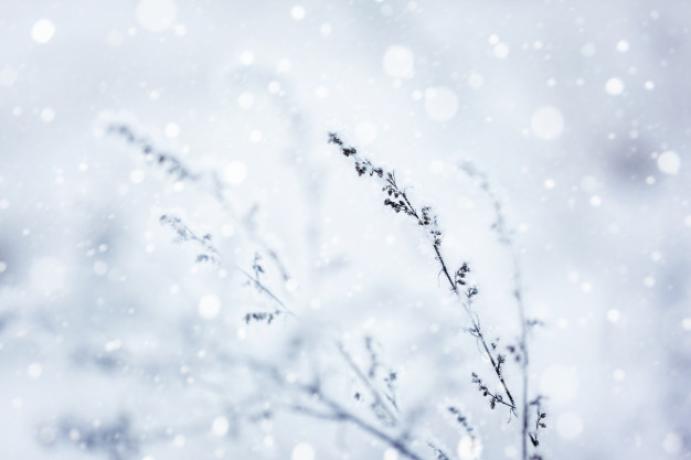 626x417 Winter Wonderland Vectors, Photos And Free Download