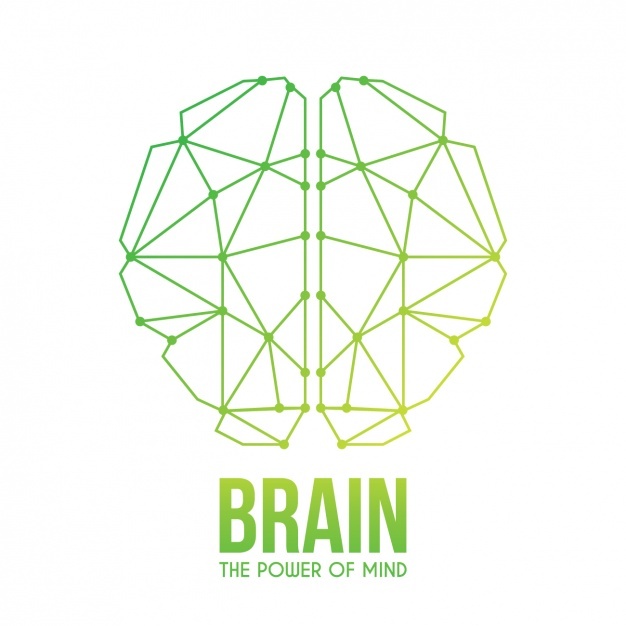 626x626 Brain Vectors, Photos And Free Download