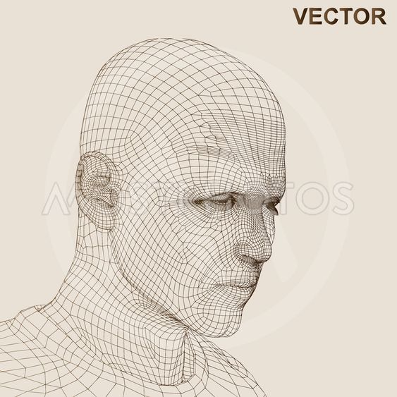 563x563 Vector Wireframe Face