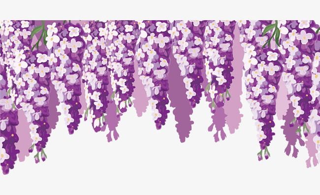 650x396 Wisteria Flower Decoration Png, Clipart, Decoration Vector, Flower