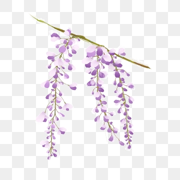 360x360 Wisteria Flower Png, Vector, And Clipart With Transparent