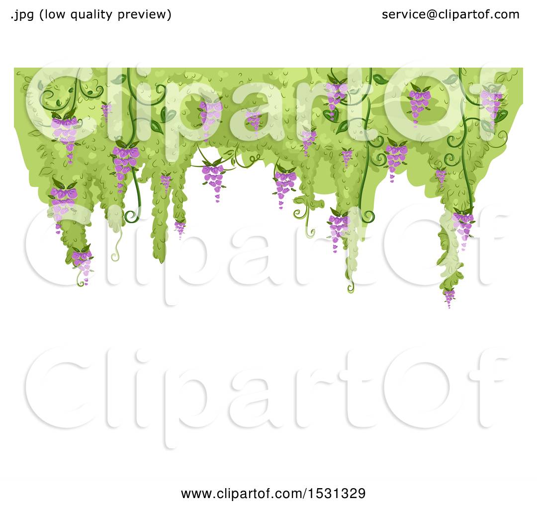 1080x1024 Clipart Of A Background With A Border Of Flowering Wisteria