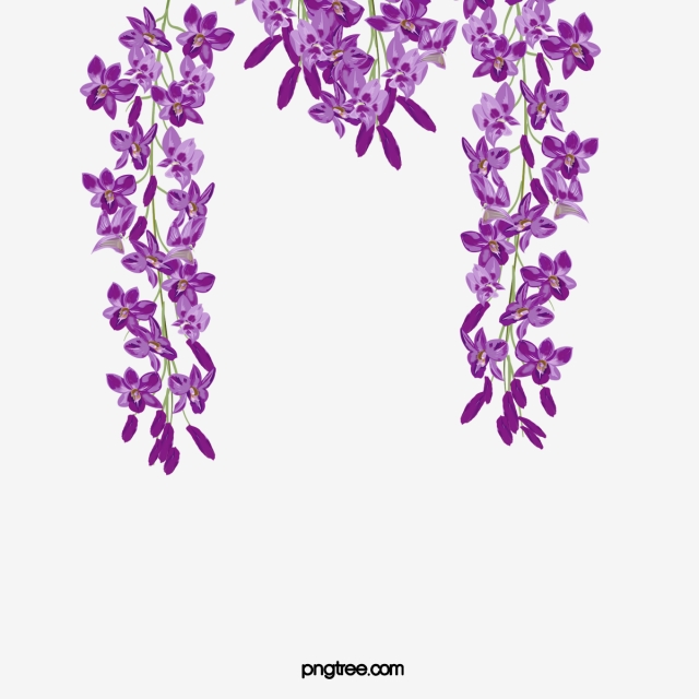 640x640 Wisteria Png, Vector, And Clipart With Transparent Background
