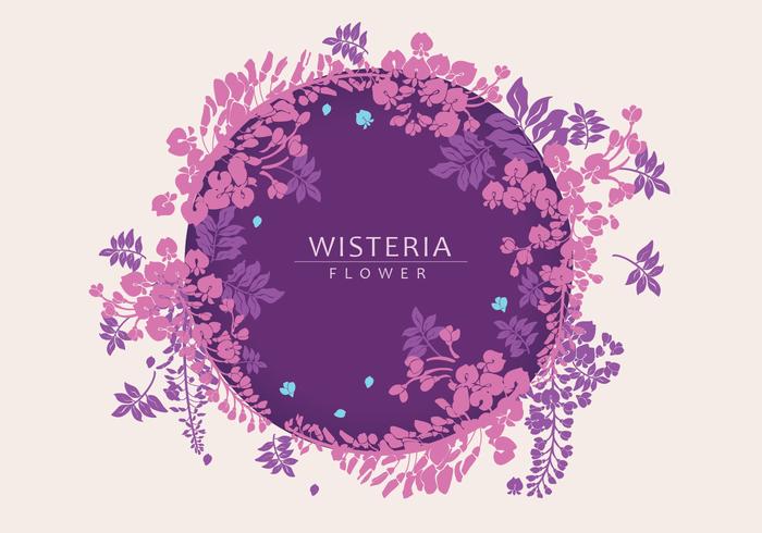 700x490 Wisteria Vector