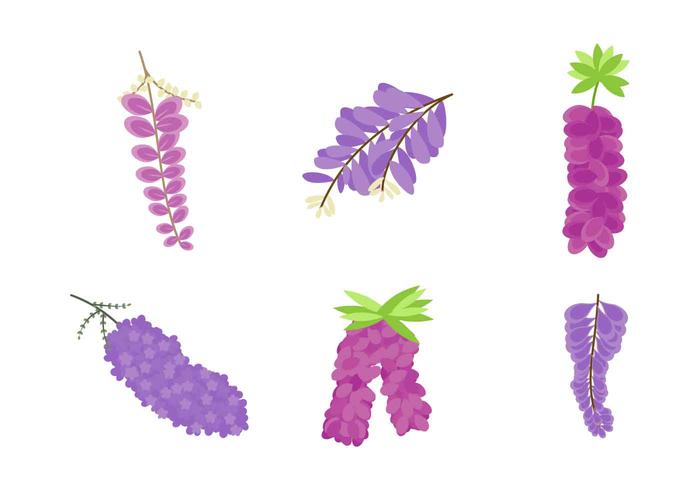 700x490 Free Beautiful Wisteria Flower Vectors