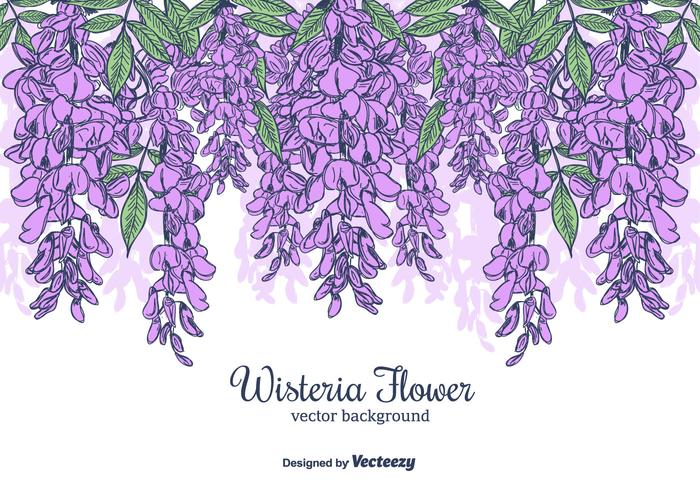 700x490 Hand Drawn Wisteria Flower Vector Background