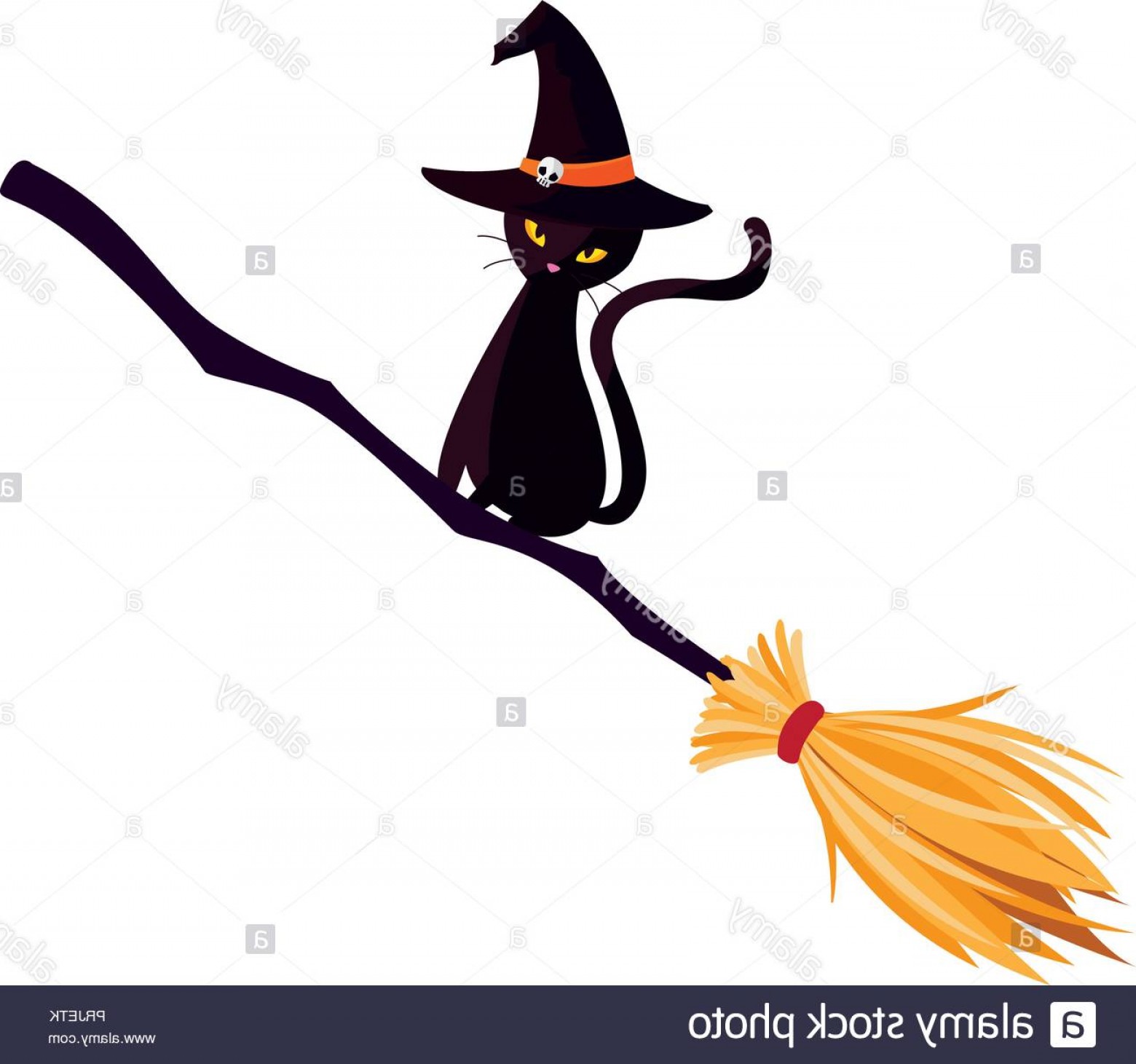 Witch Broom Vector