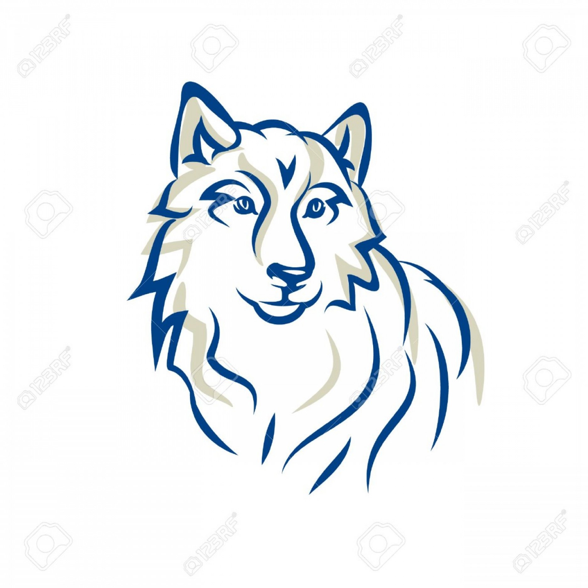 1872x1872 Photostock Vector Snow White Wolf Malamute Siberian Husky Dog Is