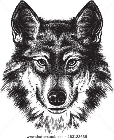 384x470 Vector Sketch Of A Wolf's Face