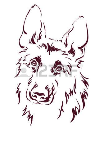 319x450 Wolf Eyes Stock Vector Illustration And Royalty Free Wolf Eyes