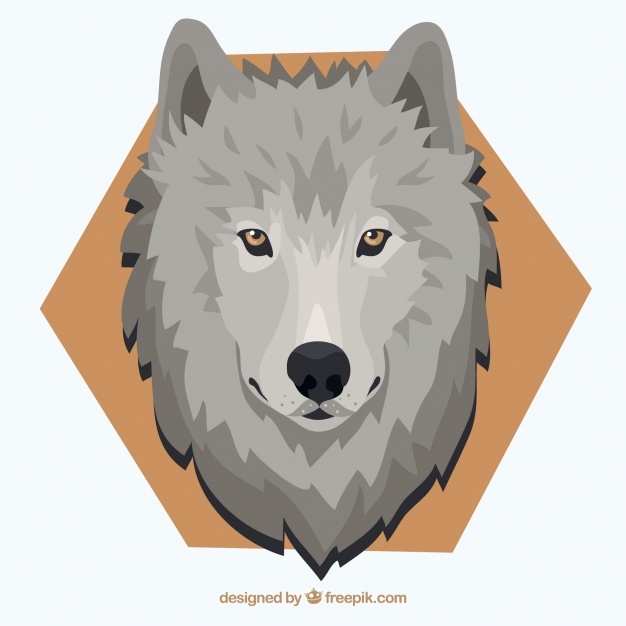 626x626 Wolf Eyes Vectors, Photos And Free Download