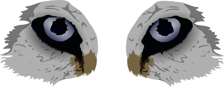 900x353 Clipart Wolf Eyes Free Cliparts Download Images On Clipground