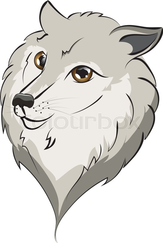 537x800 Cute Cartoon Grey Wolf Portrait With Stock Vector Colourbox