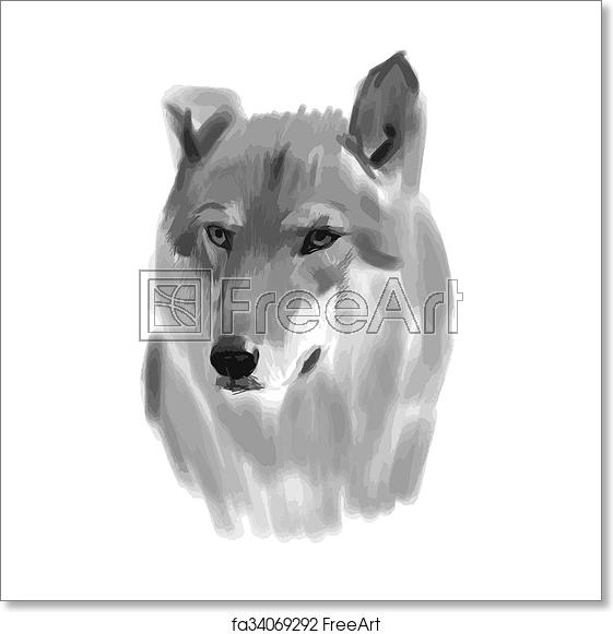 Free Art Print Of Vector Sketch Of A Wolf Face Vector Sketch 561x581 Free Art Print Of Vector Sketch Of A Wolf Face Vector Sketch