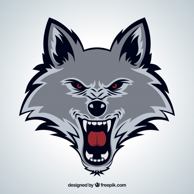 Wild Wolf Face Vector Free Download 626x626 Wild Wolf Face Vector Free Download