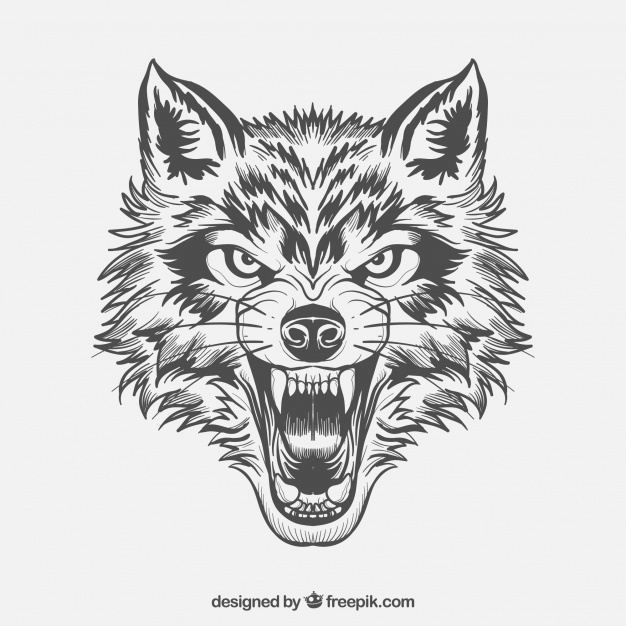 Wolf Face Vectors, Photos And Free Download 626x626 Wolf Face Vectors, Photos And Free Download