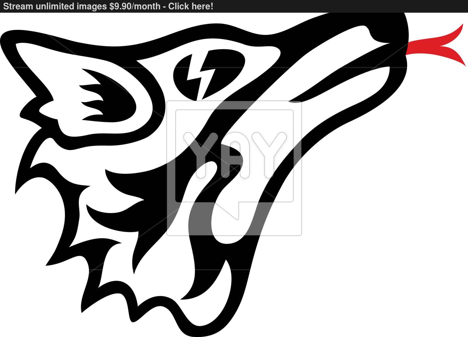 Wolf Face Vector Vector 1600x1153 Wolf Face Vector Vector