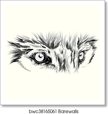Beautiful Wolf Face Vector Illustration, Art Print Barewalls 362x382 Beautiful Wolf Face Vector Illustration, Art Print Barewalls