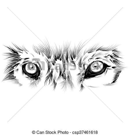 Beautiful Wolf Face Vector Illustration Vector Clip Art 450x470 Beautiful Wolf Face Vector Illustration Vector Clip Art
