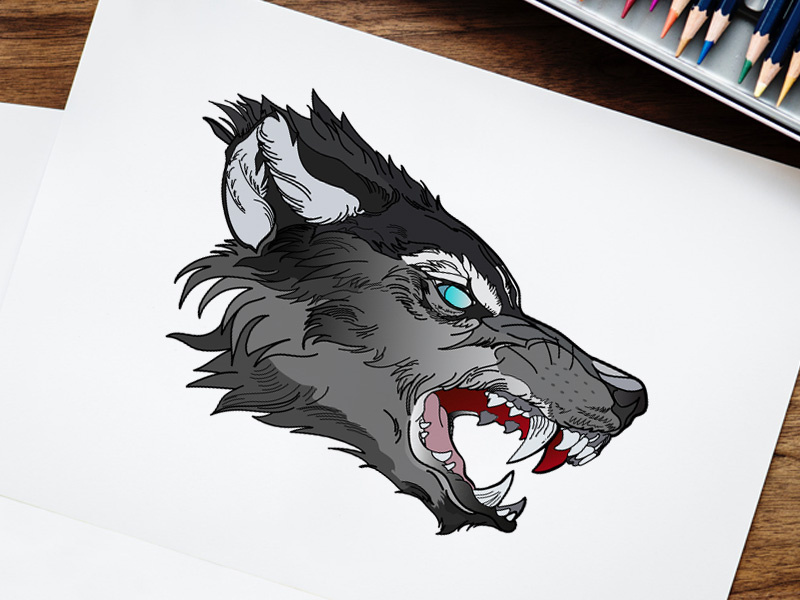 Free Wolf Face Vector Clipart 800x600 Free Wolf Face Vector Clipart