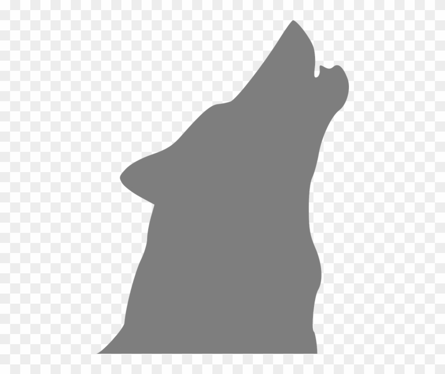 Vector Graphics 880x739 Vector Graphics