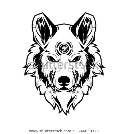 Wolf Head Vector Illustration In White Background T Shirt Design 450x470 Wolf Head Vector Illustration In White Background T Shirt Design