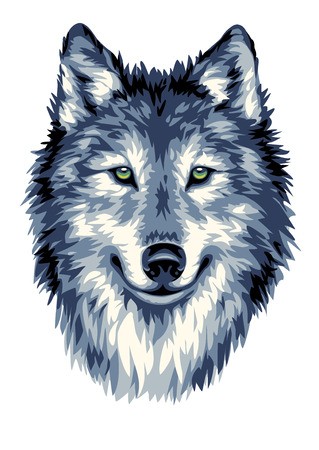 Wolf Head Vector Illustration Royalty Free Vector Graphics 319x450 Wolf Head Vector Illustration Royalty Free Vector Graphics
