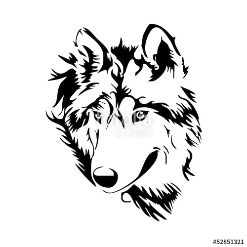 Wolf Head Sketch Vector Stock Image And Royalty Free Vector 500x500 Wolf Head Sketch Vector Stock Image And Royalty Free Vector