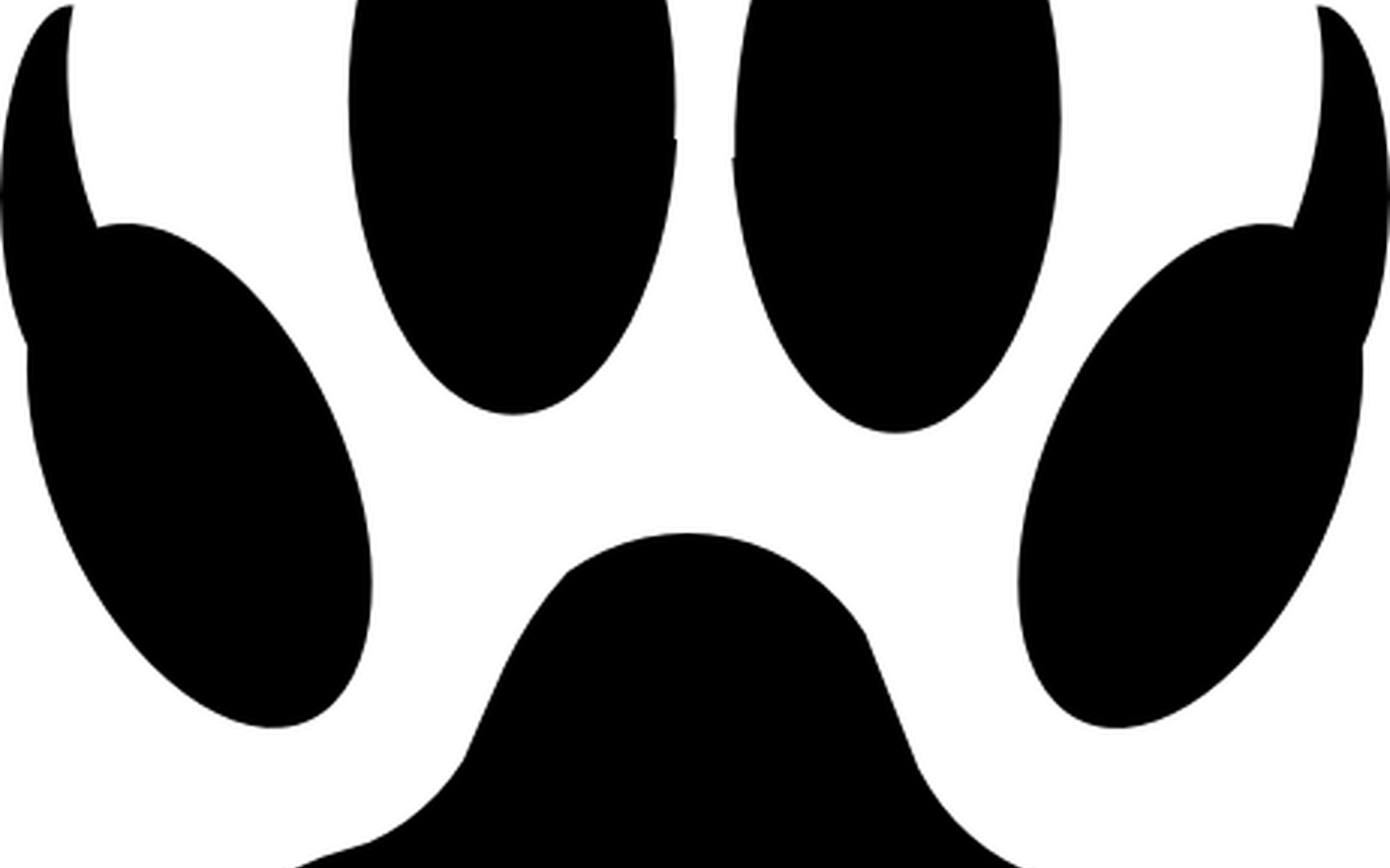 Wolf Paw Print Vector at Vectorified.com | Collection of Wolf Paw Print